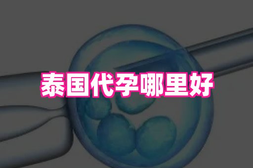 安徽助孕网 2
