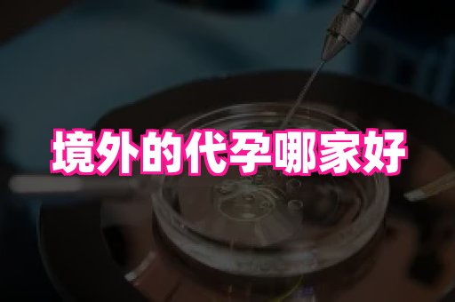安徽助孕网 3
